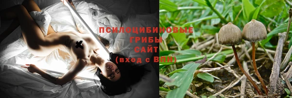 прущие крисы Абинск