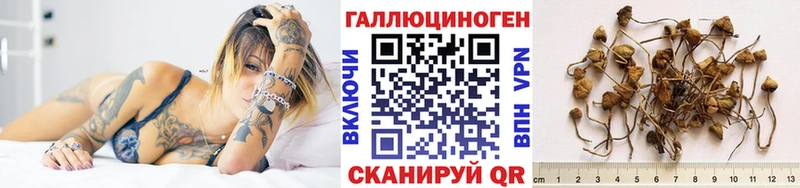 Псилоцибиновые грибы Cubensis  Усмань 